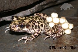 muska majka.jpg, 26 KB